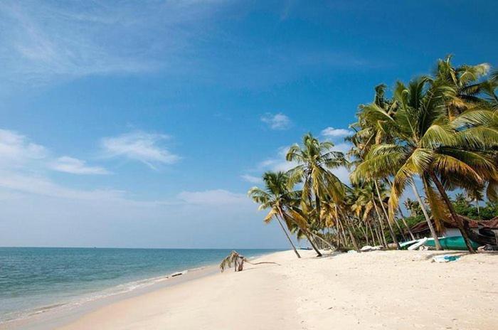 Marari Beach Clleetus Homestay Марарикулам Екстериор снимка